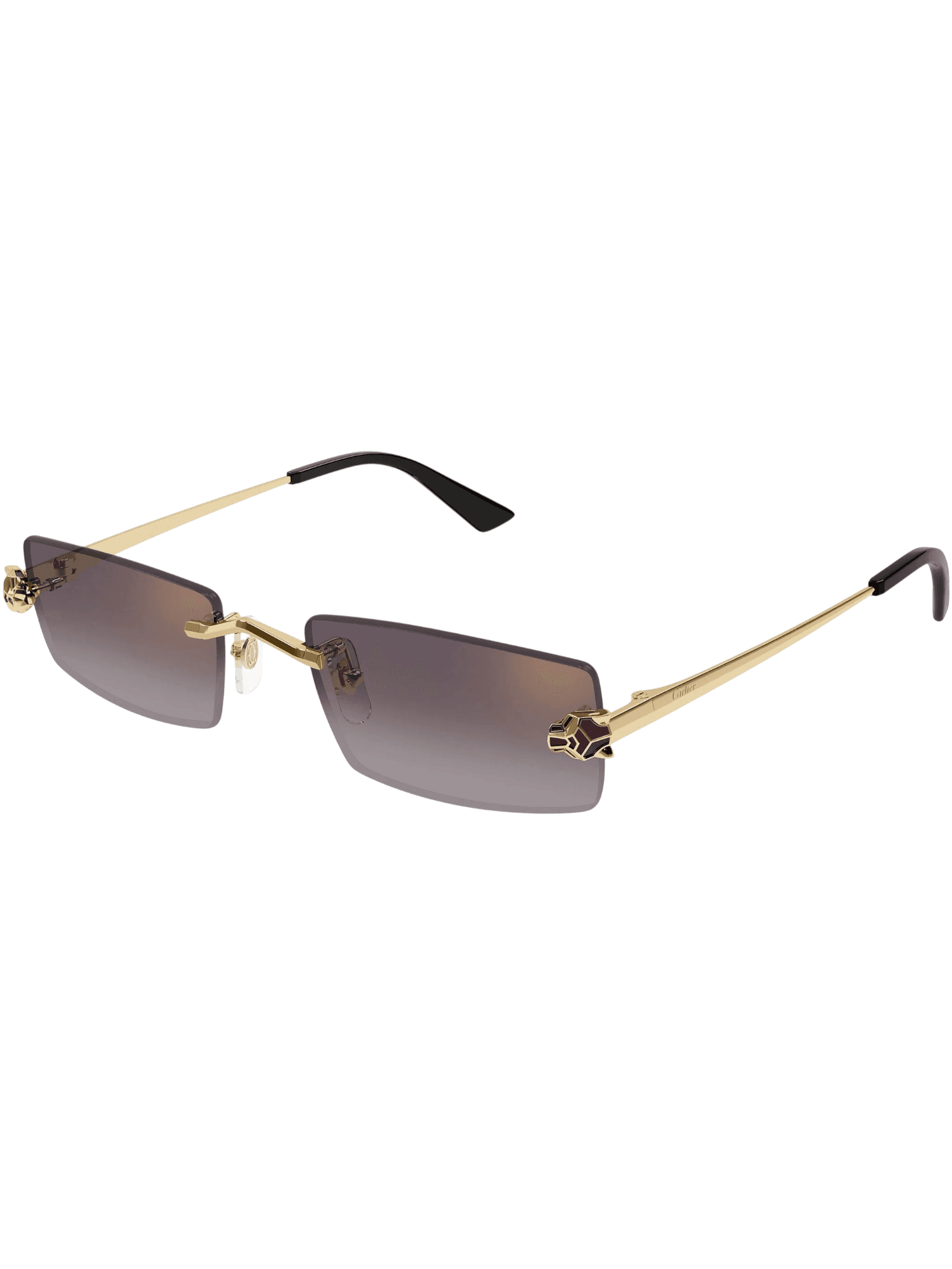 Gafas De Sol Unisex Cartier CT0598S